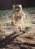 미국 아폴로 11호 달 착륙 성공