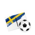 [데이터데이트] 월드컵 스웨덴전 ‘오답노트’
