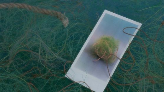 [비크닉] 바다 생물 위협하는 폐어망, 어떻게 가방이 될까